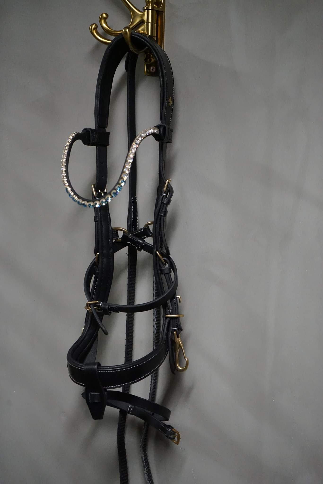 OUTGOING Qira Bridle