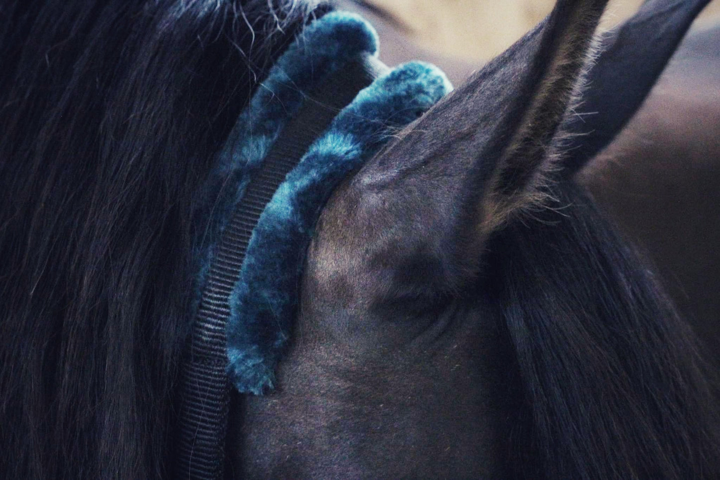 Ivy halter - black/midnight blue - MASEGO horsewear