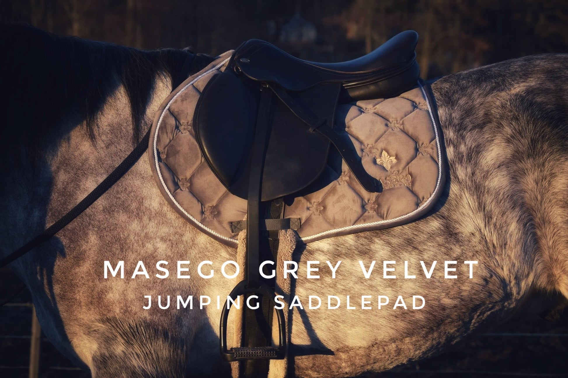 Masego grey velvet jumping saddle pad - MASEGO horsewear